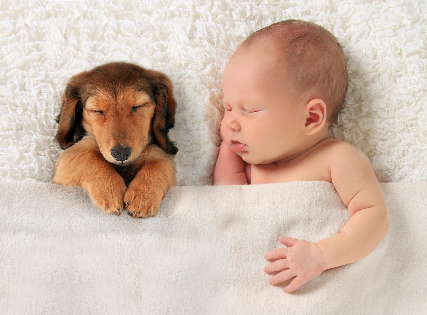 baby and dog (2)